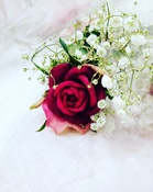 Kuvalähde Fruit gardenin kotisivu.